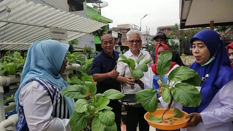 H WAWAN SUHAWAN (ANGGOTA DPRD DKI) PANEN SAYURAN HIDROPONIK DI RPTRA SERDANG BARU