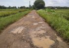 JALAN LANGSEB–BENDUNGAN RUSAK PARAH, DR. TOHANA: PEMKAB KUNINGAN JANGAN TUTUP MATA SEGERA PERBAIKI